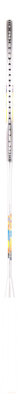 Yonex Nanoflare 700 Play Silver/Sky Blue (4UG5)