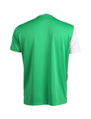 FZ Forza T-Shirt Men Harlem National IR Green/White