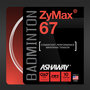 Ashaway-Zymax-67-Set-10-m