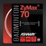 Ashaway-Zymax-70-Set-10-m