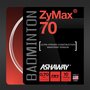 Ashaway-Zymax-70-Set-10-m