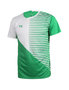 FZ Forza T-Shirt Men Harlem National IR Green/White